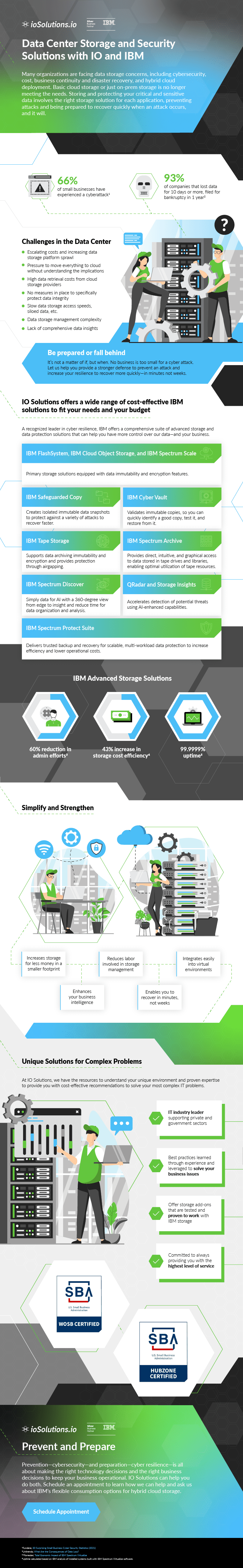 IO Solutions IBM Infographic