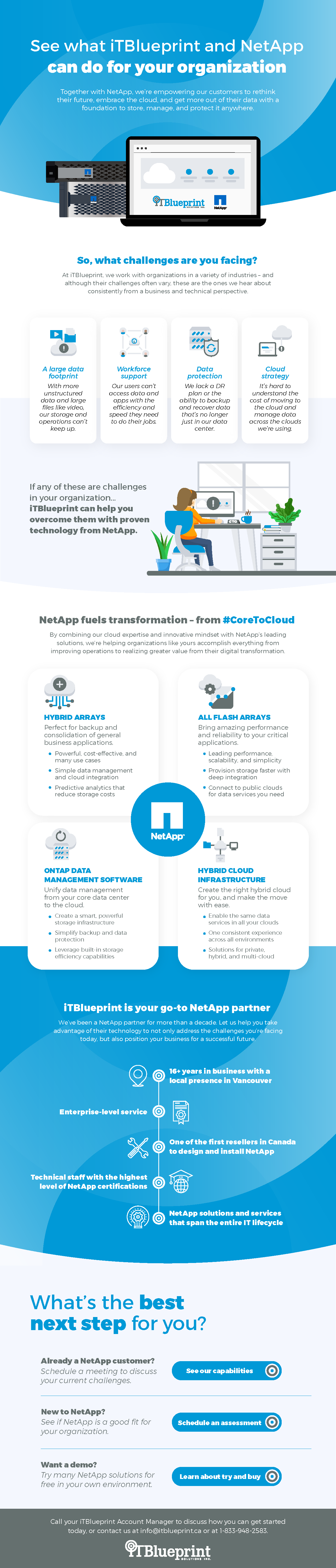 Long scrolling infographic primarily blue and white on the topic of NetApp for ITBlueprint using flat graphics